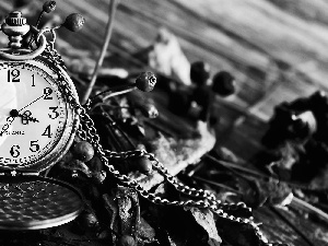 neck chain, Watch, Twigs, blur, withered, Retro