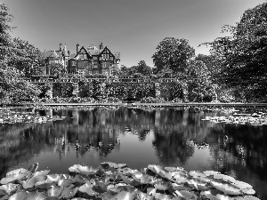 Castle, Pond - car, Nenufary, Garden