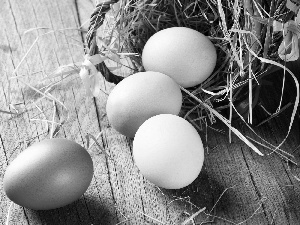 nest, eggs, Easter