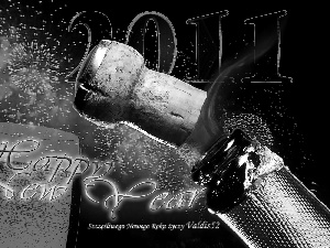 Wishes, New Year 2011