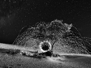 Desert, trees, Night, Sand