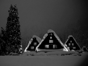Night, winter, Houses, forest, illuminated