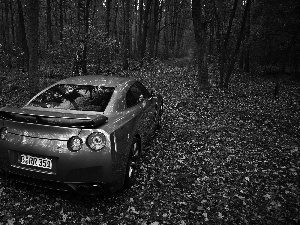 Nissan GTR, forest