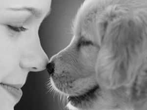 ##, nose, Women, nose, dog