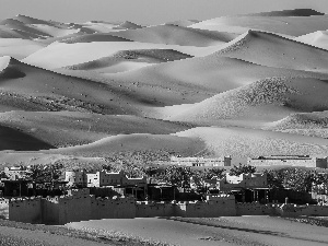 oasis, Desert, Dunes