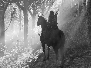 form, game, Horse, forest, rider, Assassins Creed Odyssey