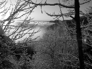 Mountains, branch pics, rays of the Sun, Fog