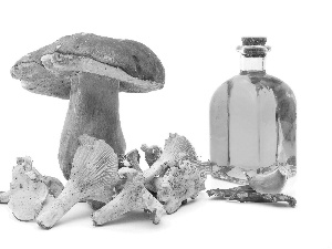 oil, mushrooms, forester