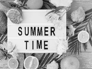 Coconut, Fruits, Summer time, text, Alstroemeria, composition, holiday, Leaf, orange, Shells, Flowers