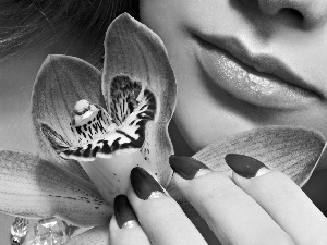 face, make-up, orchids, Womens