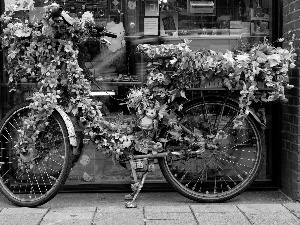 Bike, ornamentation