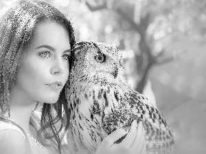 eagle-owl, Women, owl