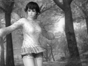 Dead Or Alive 5 Ultimate, Pai