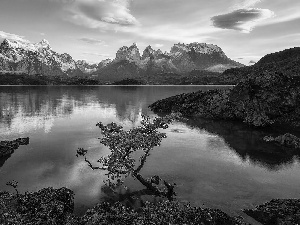 rocks, Lake Pehoé, Patagonia, trees, Torres del Paine National Park, Cordillera del Paine Mountains, Chile