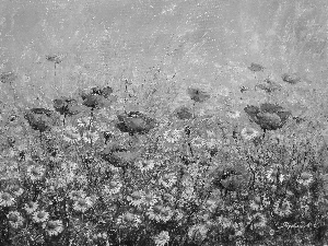 Margaret Rawicka, Meadow, painting, papavers