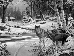 painting, wolves, winter