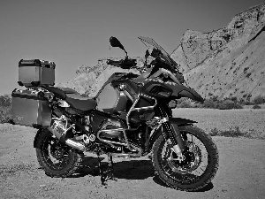 motor-bike, trunks, Palms, BMW R1200GS