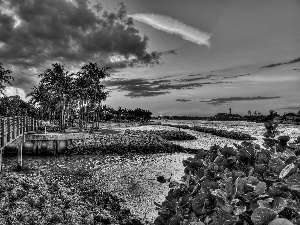 Palms, bridges, sun, lake, west