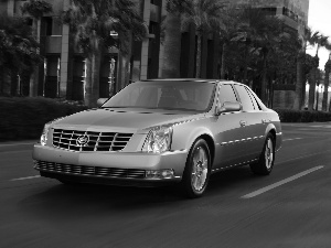 Way, Cadillac DTS, Palms