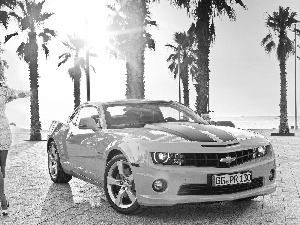 Yellow, Women, Palms, Chevrolet Camaro