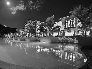 Pool, Hotel hall, Palms, Night, luminosity, Moon, sun, flash, ligh