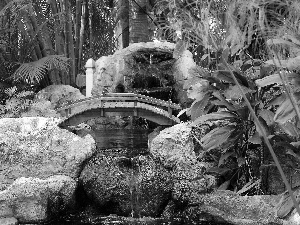 bridges, Park, Palms, Flowers, rocks, brook