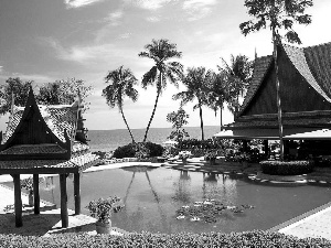Palms, Hotel hall, Pool, sea, house