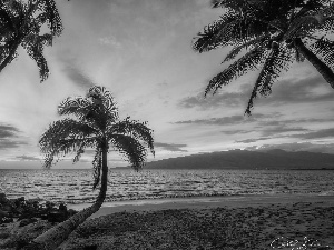 Aloha State Hawaje, Palms, Great Sunsets, sea