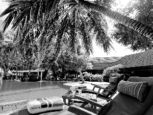 Malaysia, Pool, Palms, Hotel hall