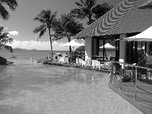 house, sea, Palms, Pool