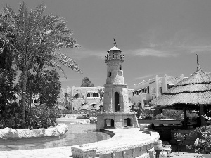 Palms, Lighthouse, Pool