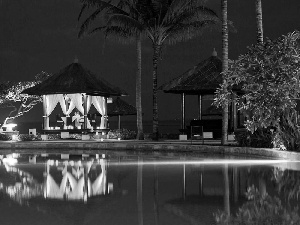 Palms, Restaurant, Pool