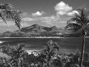 River, Passenger Ships, Palms, Mountains