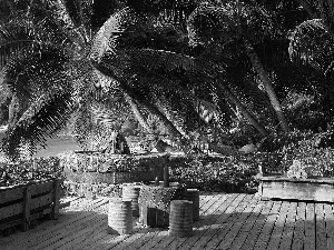 Palms, Hotel hall, rocks, Seychelles, Ocean, terrace