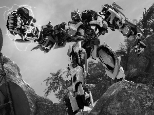 Palms, Transformers, rocks