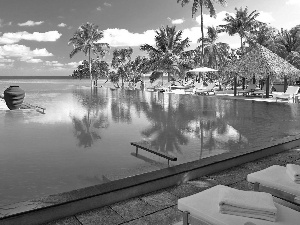 Pool, Palms, holiday, deck chair