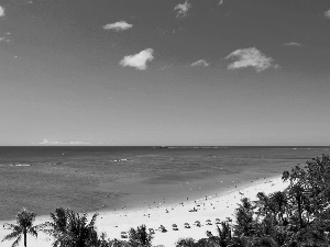 sea, Cloud, Palms, Beaches