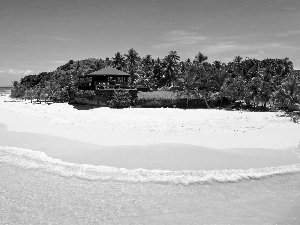 Palms, sea, Home, beach, Tropical