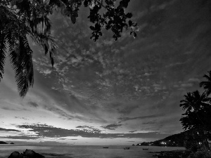 Palms, sea, sun, clouds, west