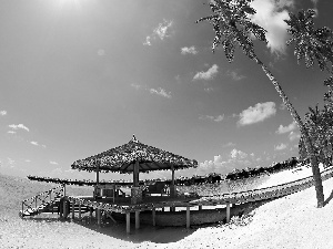 Beaches, an, sea, piles, Houses, Palms, Tropical