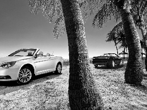 White, 200c, Palms, Chrysler