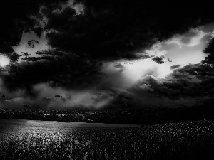 clouds, field, papavers, Storm