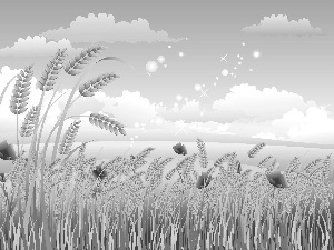 papavers, corn, wheat