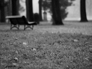 Park, autumn, Bench