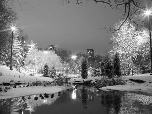 Pond - car, winter, Park