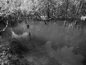 lake, Arch Muzakowa, Park, anthropogenic