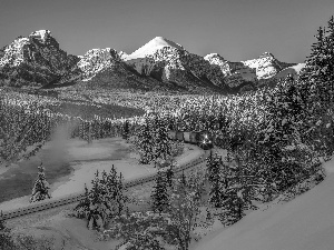 woods, Train, River, Canada, Banff National Park, Mountains, winter, rocky mountains