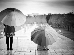 Two, color, Pool, Rain, Womens, umbrellas