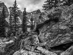 forest, Mountains, National Park Banf, Canada, lake, rocks