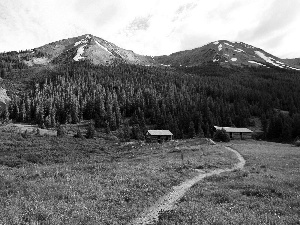 Path, Mountains, woods